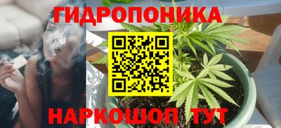jwh Беслан