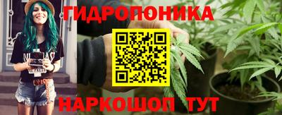 ALPHA PVP Бийск