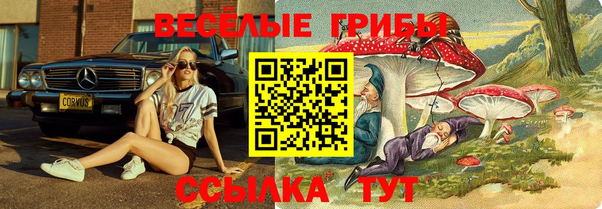 Зерноград  Псилоцибиновые грибы Psilocybe  Вход с VPN 
