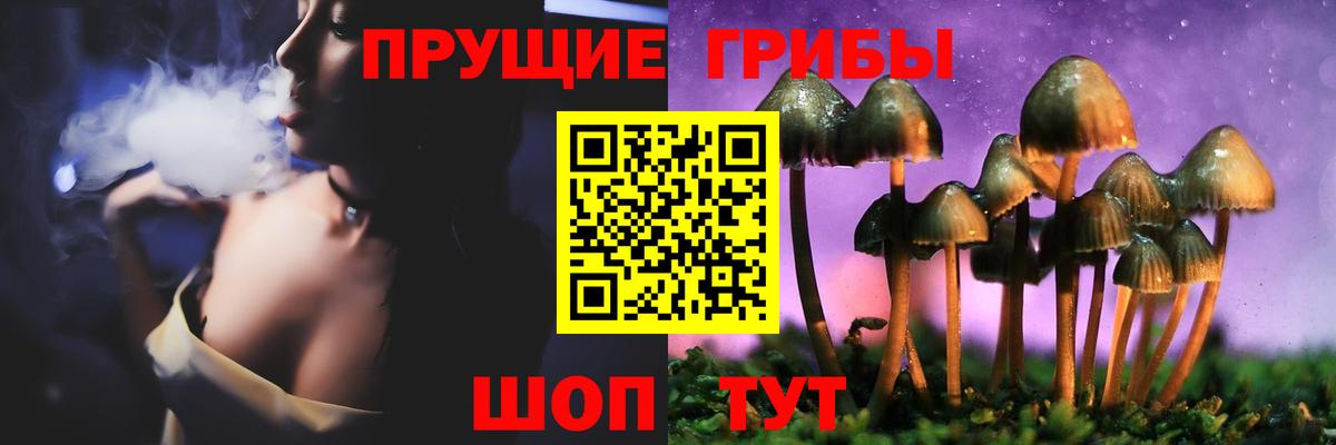 Псилоцибиновые грибы Psilocybe Зерноград